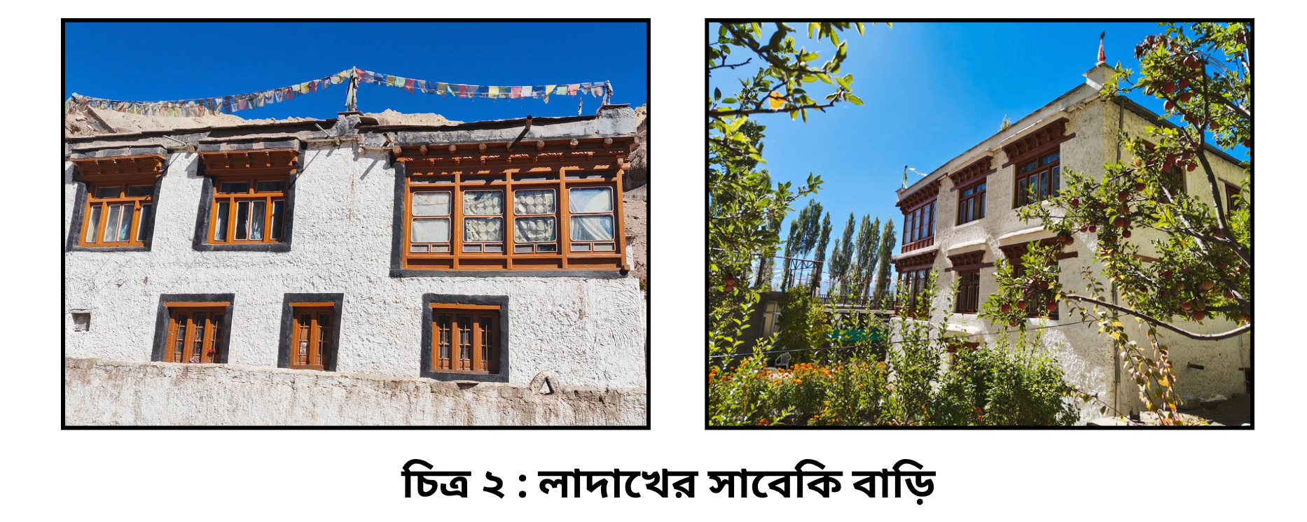 ladakh image 2